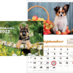 Seinakalender Kutsukalender 00361