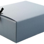 Arhiivikarp paeltega arhiivipüsivast materjalist 350x280x120mm