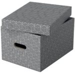 Hoiukast kaanega ESSELTE Home Storage Box Medium (265x205x365mm) 3tk pakis