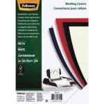 Köitekartong FELLOWES Delta A4 250g valge 100 lehte