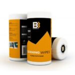 CLEANING WIPES 100PCS BB-WW100 GEMBIRD