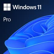 lko-fqc-10528-0-06585144-7a5f-45fd-a9ce-d4cb6369fa00-37 Software MICROSOFT Win 11 Pro 64Bit Eng Intl 1pk DSP OEI DVD Win Pro OEM English FQC-10528 - Pilt 1