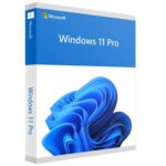 Software MICROSOFT Win Pro FPP 11 64-bit Eng Intl USB Win Pro Retail HAV-00163