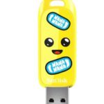 MEMORY DRIVE FLASH USB3.2/256GB SDCZIF-256G-G46 SANDISK