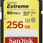 MEMORY SDXC 256GB UHS-1/SDSDXVV-256G-GNCIN SANDISK