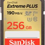 MEMORY SDXC 256GB UHS-1/SDSDXWV-256G-GNCIN SANDISK