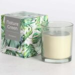 Lõhnaküünal klaasis NATURE GREEN H9,5cm, Evergreen