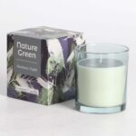 Lõhnaküünal klaasis NATURE GREEN H9,5cm, Southern Night