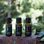 Leililõhn RENTO, Eucalyptus 10 ml