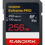 MEMORY SDXC 256GB UHS-1/SDSDXXJ-256G-GSCIN SANDISK