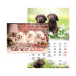 Seinakalender Koerakalender 2911601000