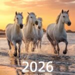 Flaier kataloog Sulemees 2027