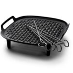 AIR FRYER ACC GRILLING SET/HD9959/00 PHILIPS